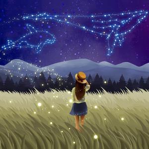 没有萤火虫的星空·清新温馨钢琴曲