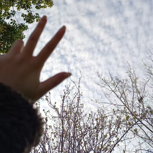 一抹绯色的夏天