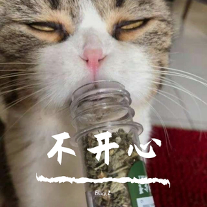 手机坏了