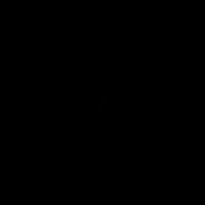demo1