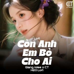Còn Anh Em Bỏ Cho Ai (Lofi)