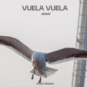 VUELA VUELA