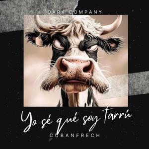Yo Se Que Soy Tarru