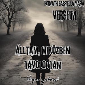 Álltam, miközben távolodtam