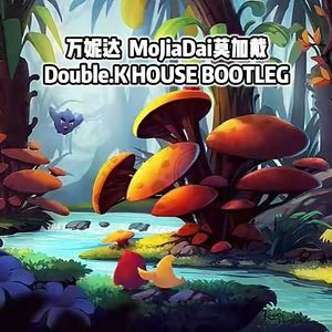 Vinida (万妮达)- MoJiaDai莫加戴 （Double.k remix）