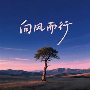 向风而行