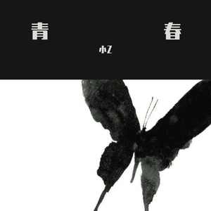 Ty Dolla $ign-恶臭青年路（小Z remix）