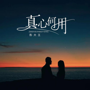 真心何用 (伴奏)