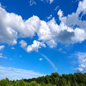 Skies