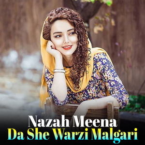 Zyata Ka Zama Numberan Block