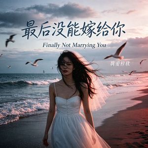 最后没能嫁给你