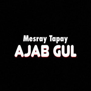 Mesray Tapay