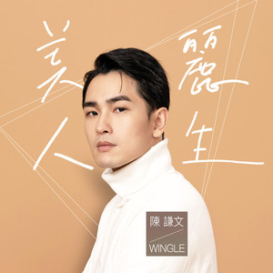 美麗人生《美麗人生》電視劇插曲