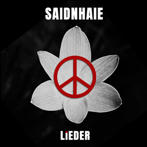 Zogen einst fünf wilde Schwäne