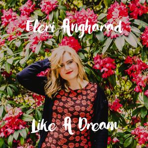 Like A Dream (Lupis/James Doherty Summer Remix)