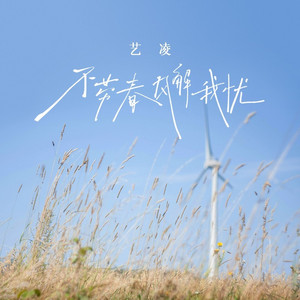 不劳春风解我忧 (DJ默涵版)