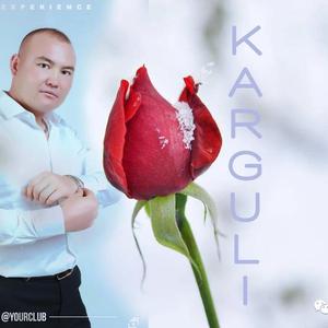 KAR GULI （雪花）