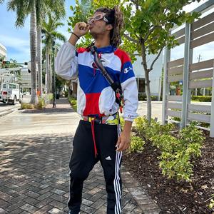 babysitter (mix) (feat. wildkarduno)