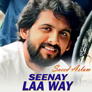 Sun Lo Ishq Bimari Da (1)