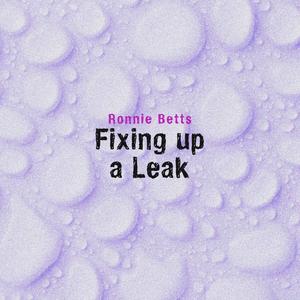 Fixing Up a Leak