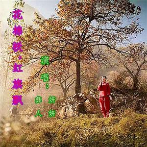 花棉袄，红旗飘（对唱） - 彝人 妍妍