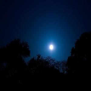 In the Light (feat. Minny Minchan)