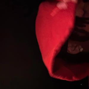Bussamove (feat. Cedgup)