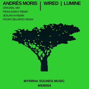 Wired (Fran Garay Remix)