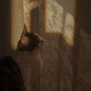 Trouble Is A Friend （翻自Lenka）