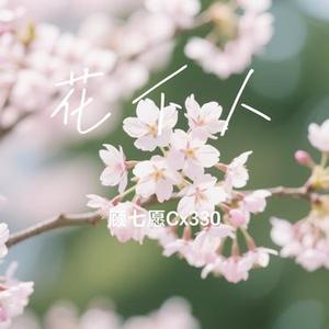花下人