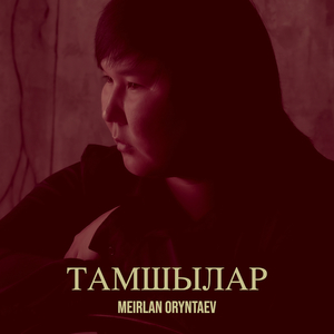 Тамшылар