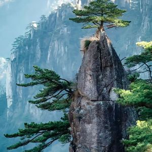 邂逅