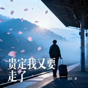 贵定我又要走了