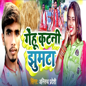 Gehu Katni Jhumta