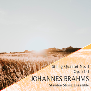 String Quartet No. 1, Op. 51-1, (4. Allegro)