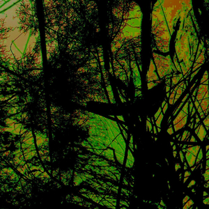 Lion King (Original Mix)