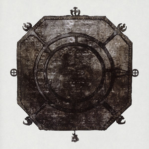 Winter, A Wilted Flower