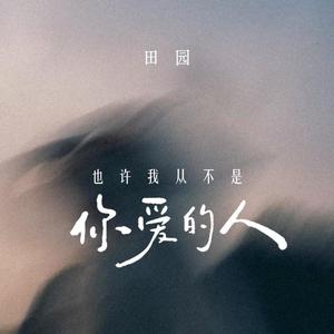 也许我从不是你爱的人 (DJ阿谭版)