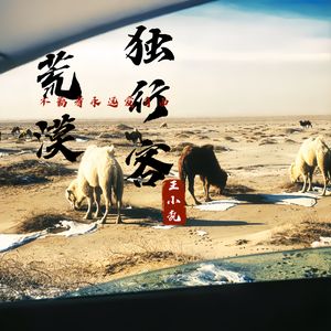 荒漠独行客
