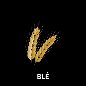 Blé