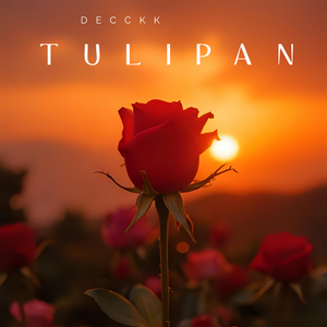 Tulipan