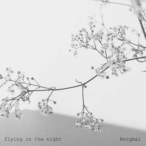 flying in the night