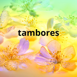 tambores