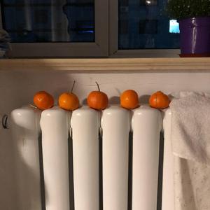 大年夜怪奇物语