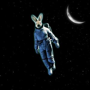 小猫宇宙