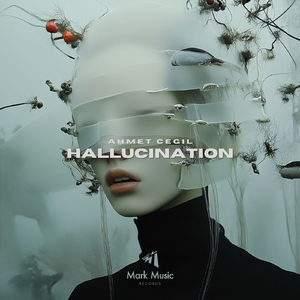 Hallucination