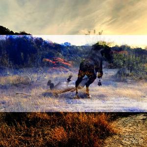 Herbivore (feat. Jarod Orduna)