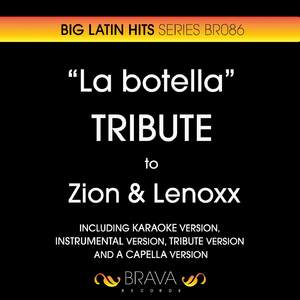 La Botella (In The Style Of Zion & lenoxx) [Karaoke version]