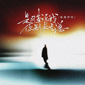 是风告诉我,你别来无恙
