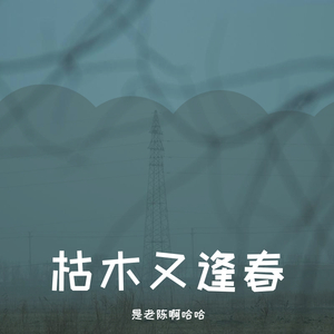 这一生关于你的风景